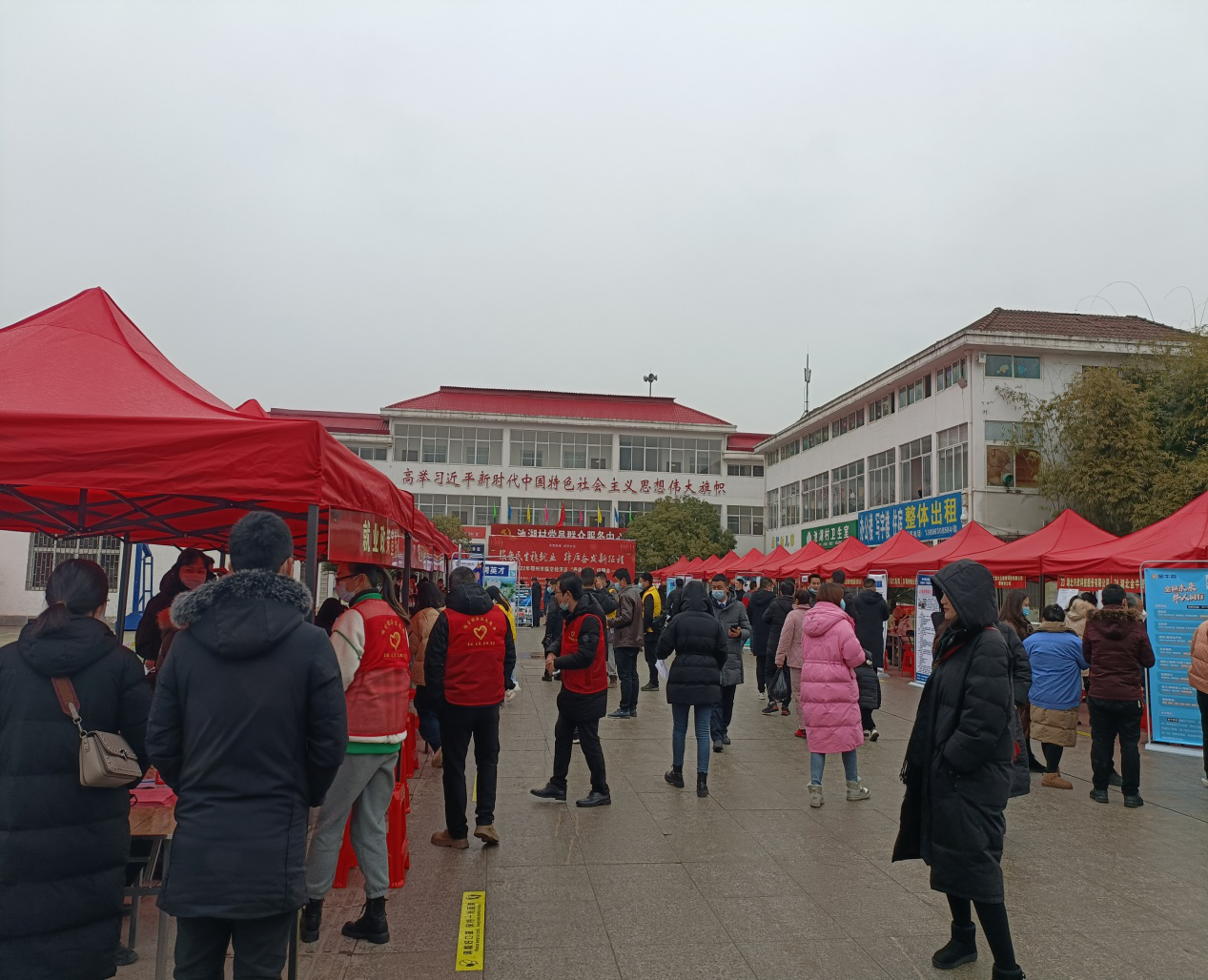 图片4